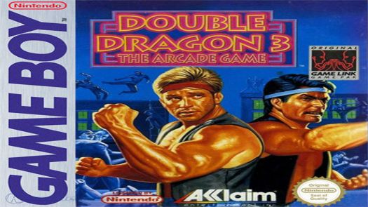 Double Dragon 3