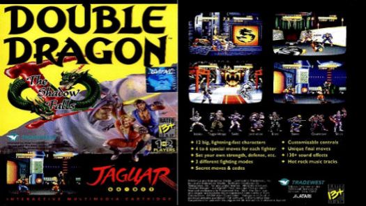 Double Dragon V - The Shadow Falls