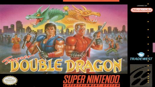 Double Dragon