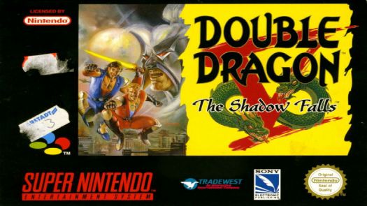 Double Dragon V - The Shadow Falls