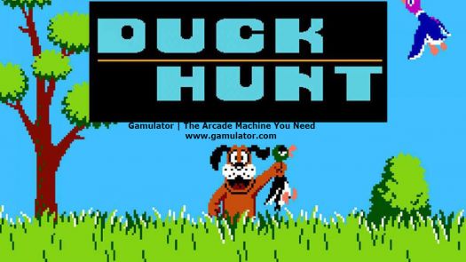 Duck Hunt