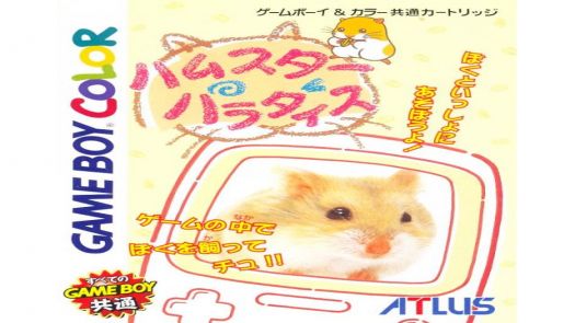 Hamster Paradise 3