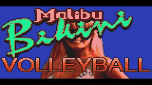 Malibu Bikini Volleyball