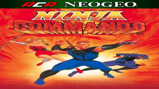 Ninja Commando