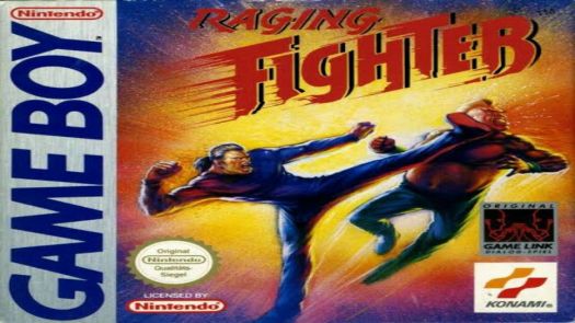 Raging Fighter