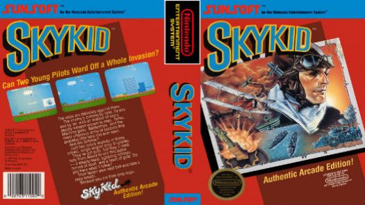 Sky Kid