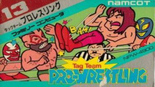 Tag Team Wrestling