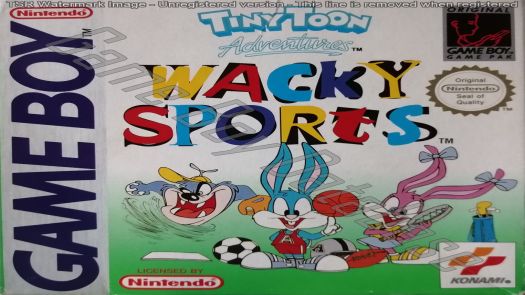 Tiny Toon Adventures - Wacky Sports