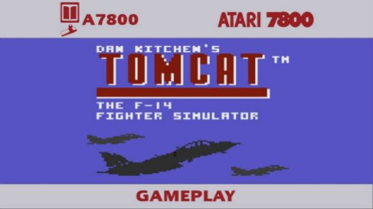 Tomcat - The F-14 Fighter Simulator